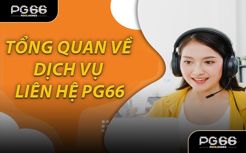Tổng Quan Về Dịch Vụ Liên Hệ PG66