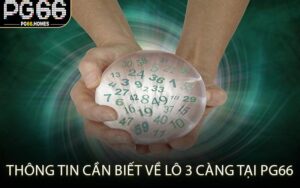 Thông Tin Cần Biết Về Lô 3 Càng Tại PG66