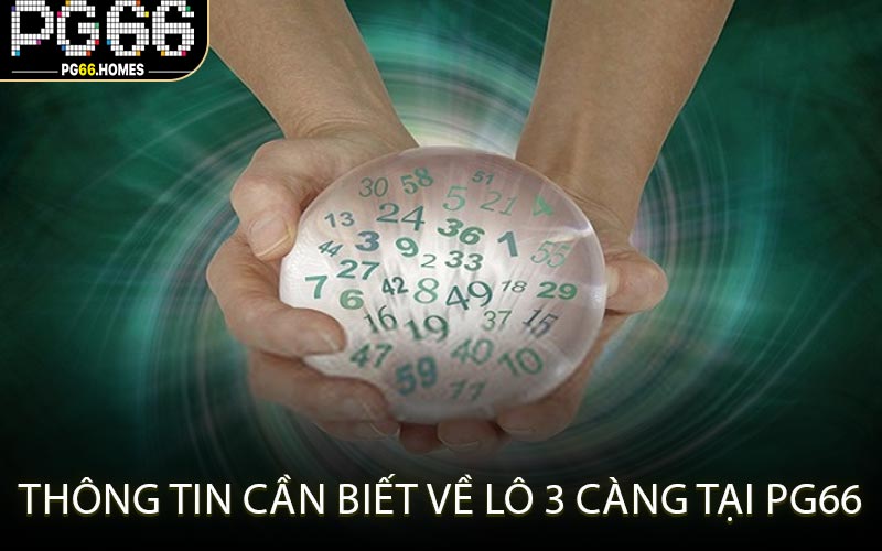 Thông Tin Cần Biết Về Lô 3 Càng Tại PG66