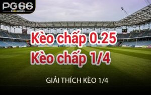 Giải thích kèo 1/4